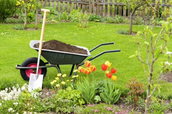 Spring Yard Renovation in Santa Ana