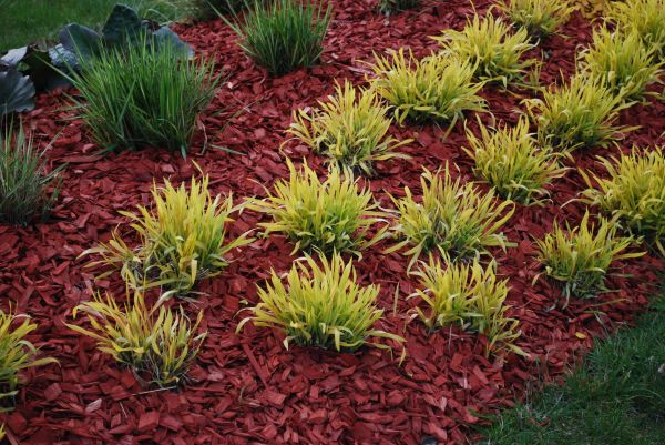 Red Mulch Installation in Santa Ana