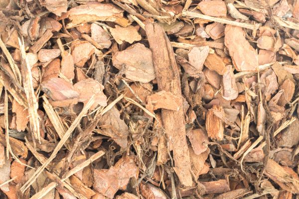 Bark Mulch Installation in Santa Ana
