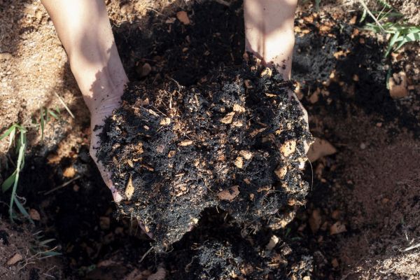 Organic Mulch Installation in Santa Ana