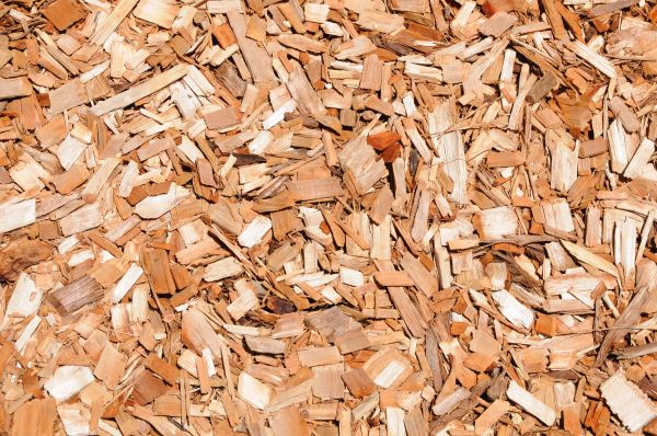 Cypress Mulch Spreading in Santa Ana