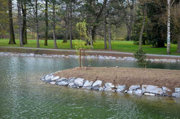 Pond Landscaping Service in Santa Ana