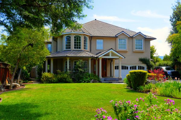 Large Yard Landscaping in Santa Ana