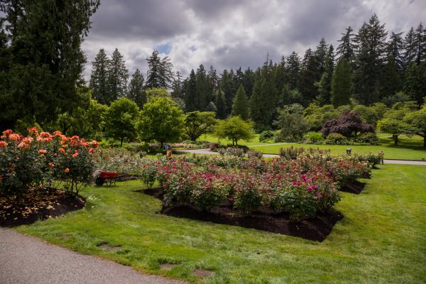 Flower Garden Landscaping in Santa Ana