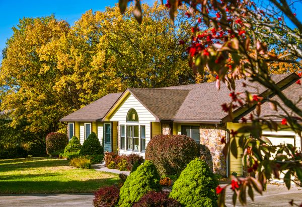 Ranch Landscaping in Santa Ana