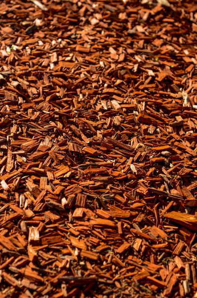 Cedar Mulch Spreading in Santa Ana