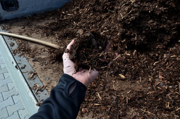 Condo Mulching in Santa Ana