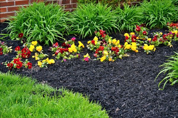 Apartment Mulching in Santa Ana