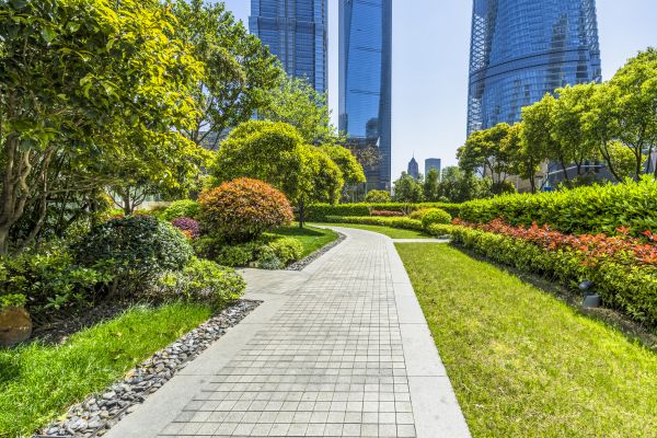 Commercial Landscaping in Santa Ana